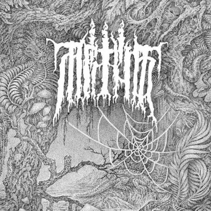 Обкладинка релізу Mrtva Vod — Flora of Evil