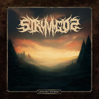 Обкладинка релізу Stryvigor — Lifelong Journey