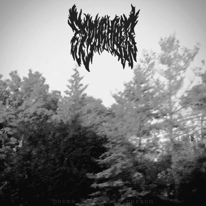 Обкладинка релізу Sdughalt — Poems of Dead Person