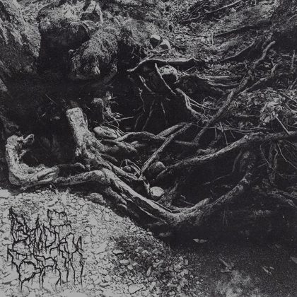 Обкладинка релізу Blade and Bath — Chains of Depression