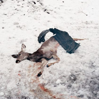 Обкладинка релізу White Ward — Debemur Morti (EP)