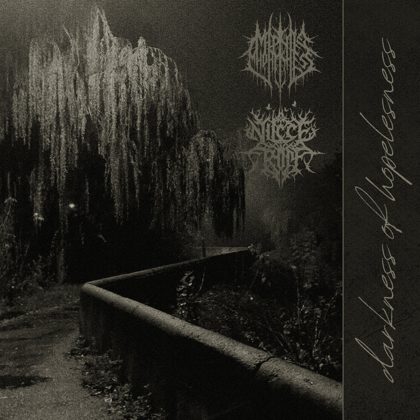 Обкладинка релізу NiceTrip, Mephistttopheless — Darkness of Hopelessness