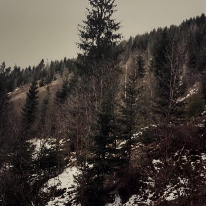 Обкладинка релізу Kapizh — Карпатський перевал/Carpathian pass