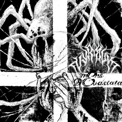 Обкладинка релізу Vyr Muk — Mens Devastata